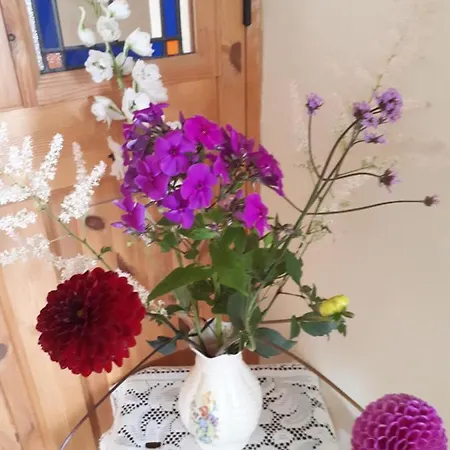 The Creggs فندق مبيت وإفطار 3*