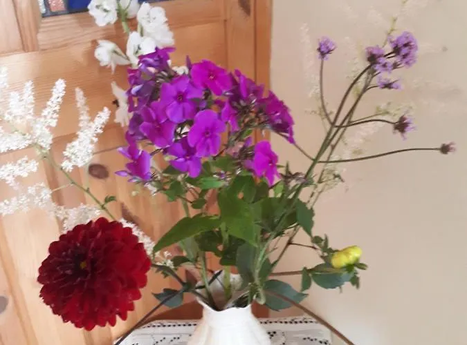 The Creggs Bed & Breakfast 3*